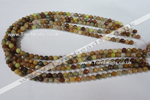 CAG1711 15.5 inches 6mm faceted round rainbow agate beads