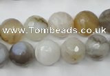 CAG1814 15.5 inches 12mm faceted round Chinese botswana agate beads