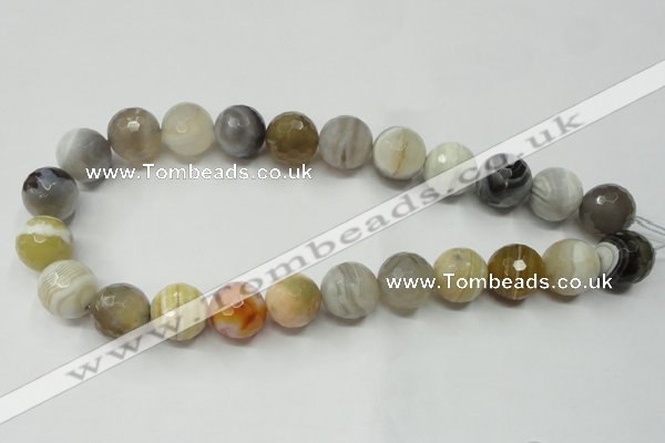 CAG1815 15.5 inches 14mm faceted round Chinese botswana agate beads