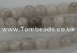 CAG1896 15.5 inches 8mm round grey agate beads wholesale