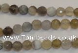 CAG2421 15.5 inches 6mm faceted round Chinese botswana agate beads