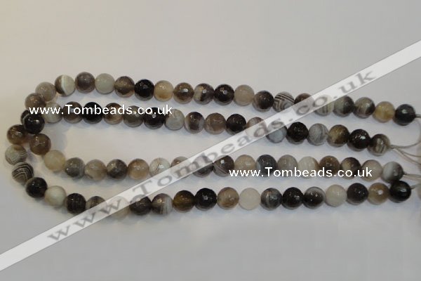 CAG2423 15.5 inches 10mm faceted round Chinese botswana agate beads