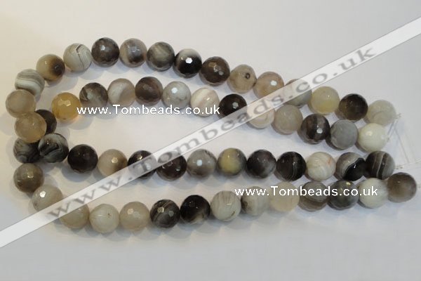 CAG2425 15.5 inches 14mm faceted round Chinese botswana agate beads