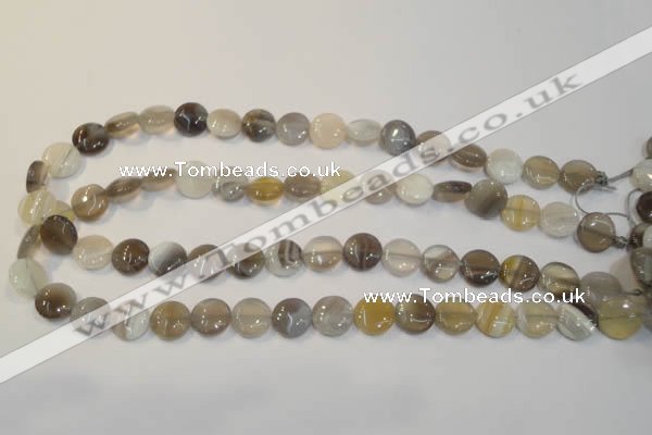 CAG2435 15.5 inches 12mm flat round Chinese botswana agate beads