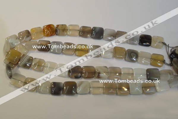 CAG2450 15.5 inches 14*14mm square Chinese botswana agate beads