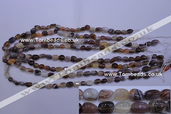 CAG2770 15.5 inches 6*8mm nuggets botswana agate beads wholesale