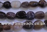 CAG2771 15.5 inches 8*12mm nuggets botswana agate beads wholesale