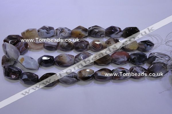 CAG2775 15.5 inches 14*20mm faceted nuggets botswana agate beads wholesale