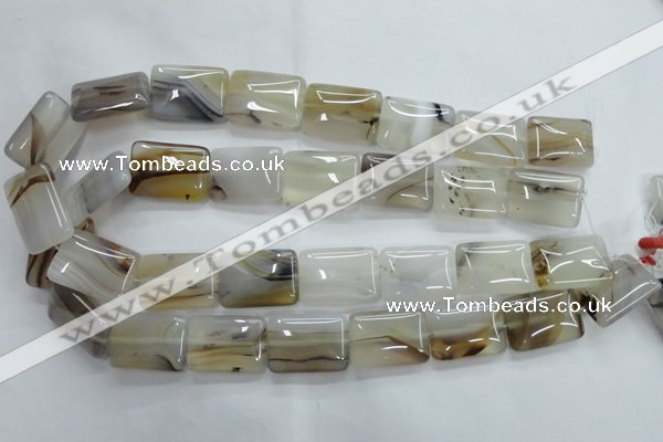 CAG3345 15.5 inches 18*25mm rectangle natural grey agate beads