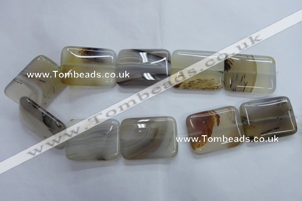 CAG3348 15.5 inches 30*40mm rectangle natural grey agate beads