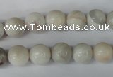 CAG3604 15.5 inches 10mm round natural crazy lace agate beads