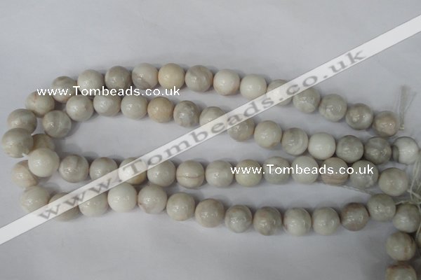 CAG3606 15.5 inches 14mm round natural crazy lace agate beads