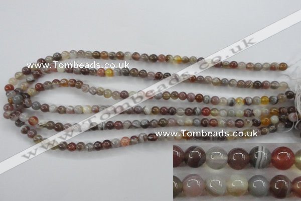 CAG3681 15.5 inches 6mm round botswana agate beads wholesale