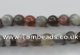 CAG3682 15.5 inches 8mm round botswana agate beads wholesale