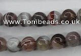 CAG3683 15.5 inches 10mm round botswana agate beads wholesale