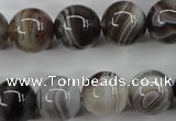 CAG3685 15.5 inches 14mm round botswana agate beads wholesale