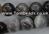 CAG3686 15.5 inches 16mm round botswana agate beads wholesale