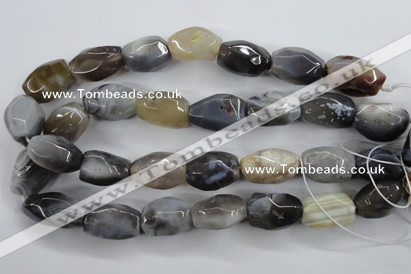 CAG3730 15.5 inches 18*25mm faceted nuggets botswana agate beads