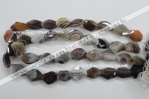 CAG3732 15*18mm – 20*23mm faceted freeform botswana agate beads