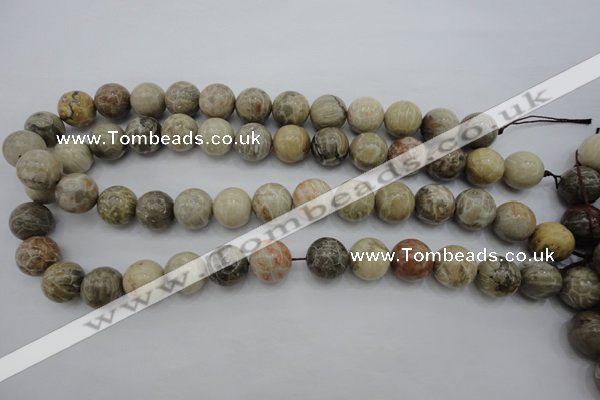 CAG3885 15.5 inches 14mm round chrysanthemum agate beads