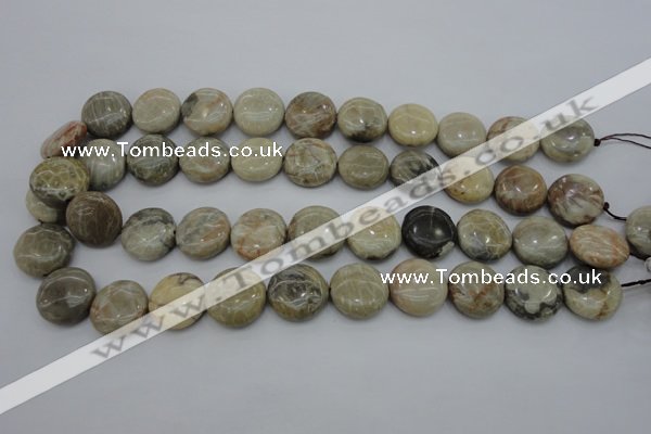 CAG3907 15.5 inches 18mm flat round chrysanthemum agate beads