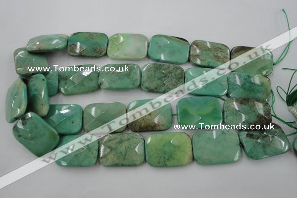 CAG3938 15.5 inches 22*30mm faceted rectangle green grass agate beads