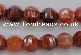 CAG4170 15.5 inches 12mm pumpkin natural fire agate beads