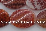 CAG4240 15.5 inches 22*30mm twisted oval natural fire agate beads