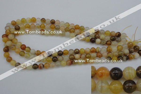 CAG4322 15.5 inches 8mm round botswana agate gemstone beads