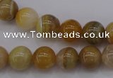 CAG4323 15.5 inches 10mm round botswana agate gemstone beads