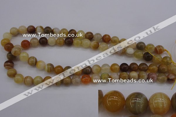 CAG4323 15.5 inches 10mm round botswana agate gemstone beads