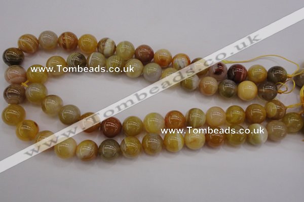 CAG4325 15.5 inches 14mm round botswana agate gemstone beads