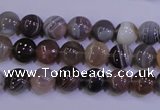 CAG4440 15.5 inches 8mm flat round botswana agate beads wholesale