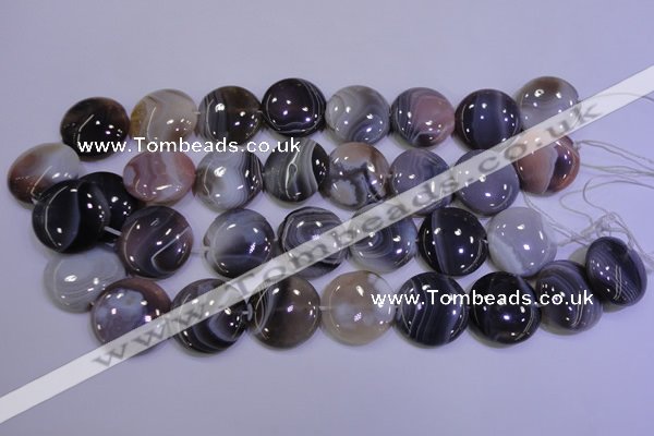 CAG4448 15.5 inches 25mm flat round botswana agate beads wholesale