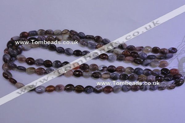 CAG4450 15.5 inches 8*10mm oval botswana agate beads wholesale