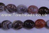 CAG4451 15.5 inches 10*12mm oval botswana agate beads wholesale