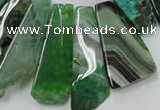 CAG5456 15.5 inches 14*28mm - 16*60mm freeform agate gemstone beads