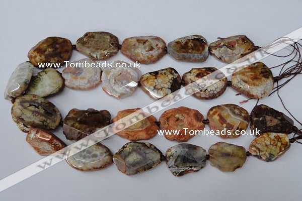 CAG5534 15.5 inches 20*25mm - 25*32mm freeform agate gemstone beads