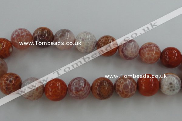 CAG5567 15.5 inches 18mm round natural fire agate beads wholesale