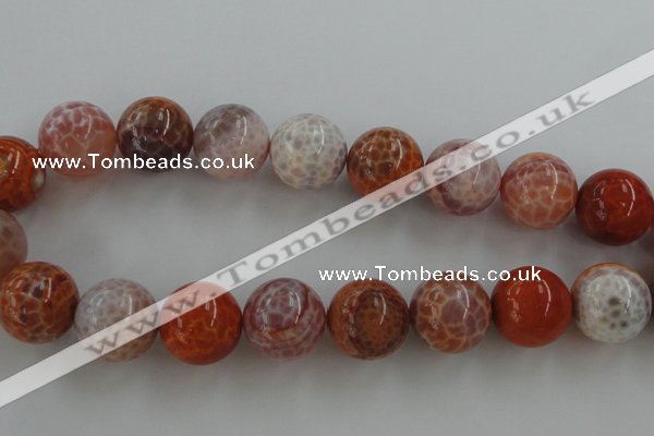 CAG5568 15.5 inches 20mm round natural fire agate beads wholesale