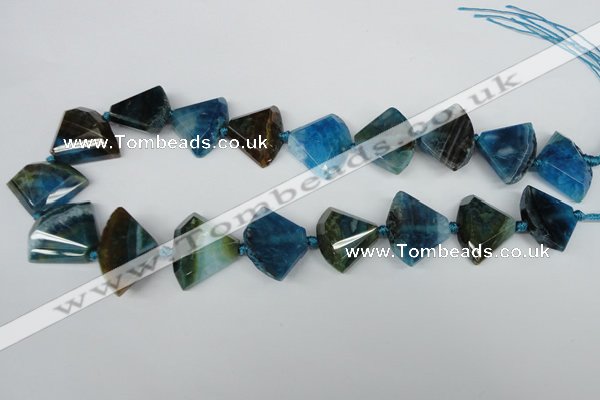 CAG5576 15 inches 20*25mm faceted triangle dragon veins agate beads