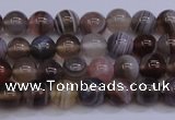 CAG5951 15.5 inches 6mm round botswana agate beads wholesale