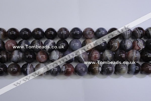 CAG5957 15.5 inches 18mm round botswana agate beads wholesale