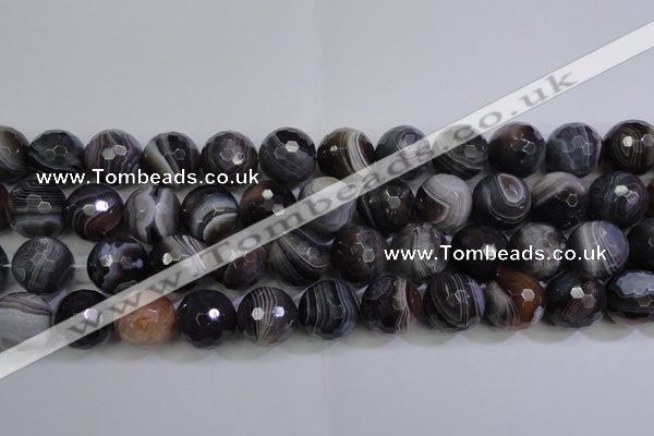 CAG5966 15.5 inches 18mm faceted round botswana agate beads wholesale