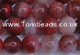 CAG6112 15.5 inches 8mm round south red agate gemstone beads