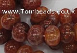 CAG617 15.5 inches 12*16mm rondelle natural fire agate beads