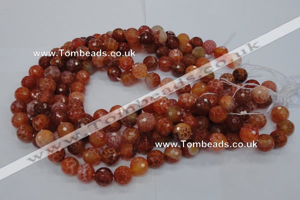 CAG623 15.5 inches 14mm faceted round natural fire agate beads