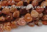 CAG627 15.5 inches 8*8mm heart natural fire agate beads wholesale