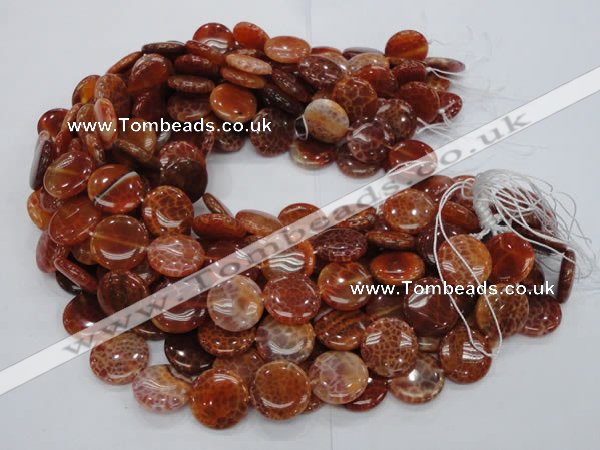 CAG631 15.5 inches 14mm coin natural fire agate beads wholesale