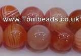 CAG6344 15 inches 12mm round red botswana agate beads wholesale